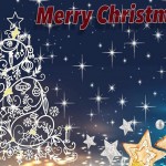 Feliz Navidad y felices fiestas
