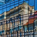 Empresas de control de plagas