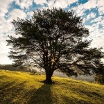 La calidad del aire que respiramos
