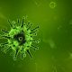 Brotes de legionella - ID Control de Plagas