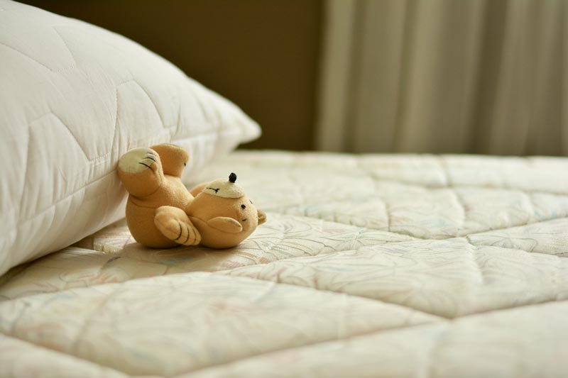 Chinches de cama en la ropa