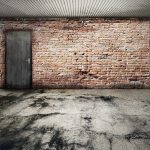 ¿Cómo eliminar las plagas de tu garaje?