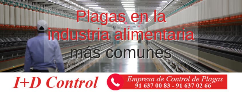 Plagas en industria alimentaria comunes