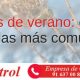 plagas de verano más comunes