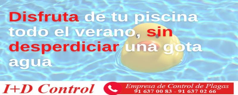 Ahorro agua en piscinas
