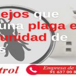 5 Consejos que evitan una plaga en tu Comunidad de Vecinos