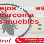 6 consejos que evitan que la carcoma acabe con tus muebles