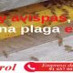 Plaga de avispas