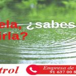 Legionela, ¿sabes cómo prevenirla?