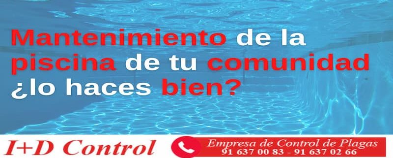 mantenimiento de piscina de la comunidad