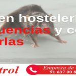 Plagas en hostelería, consecuencias y cómo prevenirlas