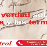 Toda la verdad sobre la carcoma y las termitas